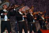 mve2006.jpg
